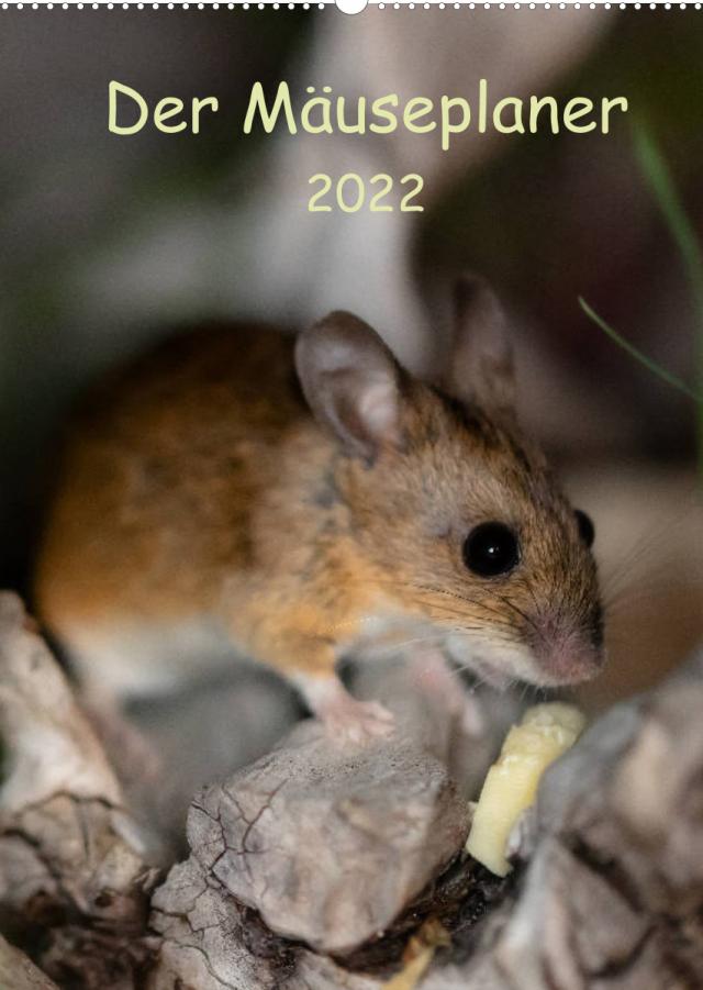 Der Mäuseplaner (Wandkalender 2022 DIN A2 hoch)