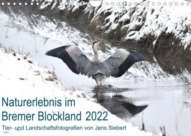 Naturerlebnis im Bremer Blockland (Wandkalender 2022 DIN A4 quer)