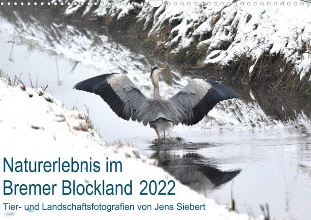 Naturerlebnis im Bremer Blockland (Wandkalender 2022 DIN A3 quer)