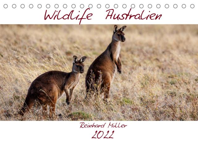 Wildlife Australien (Tischkalender 2022 DIN A5 quer)