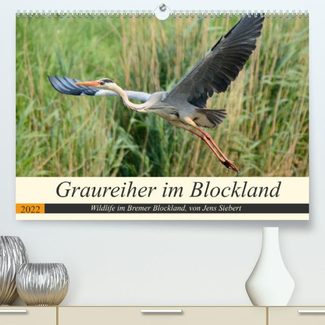 Graureiher im Blockland (Premium, hochwertiger DIN A2 Wandkalender 2022, Kunstdruck in Hochglanz)
