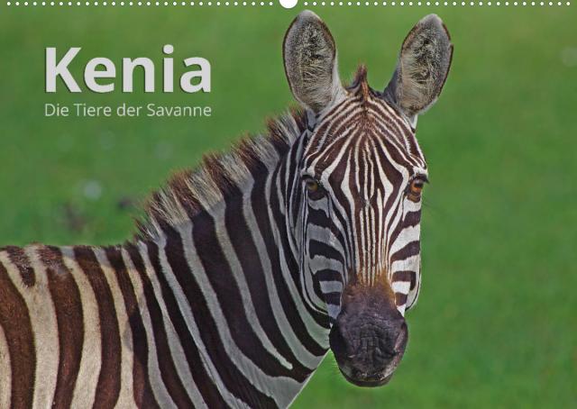 Kenia - Die Tiere der Savanne (Wandkalender 2022 DIN A2 quer)