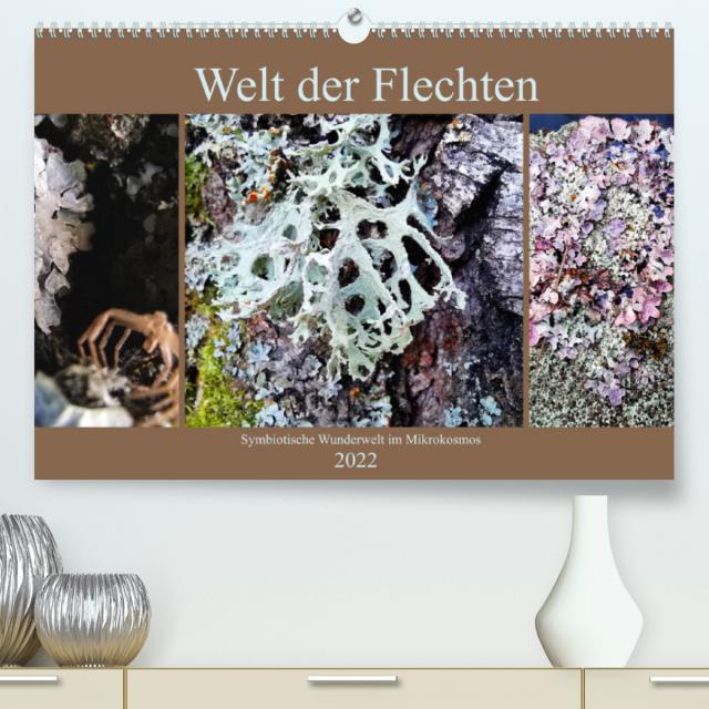 Welt der Flechten (Premium, hochwertiger DIN A2 Wandkalender 2022, Kunstdruck in Hochglanz)