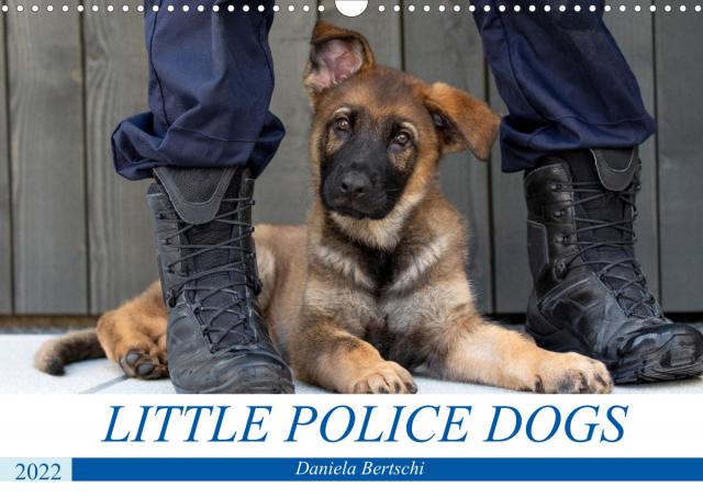 Little Police Dogs (Wandkalender 2022 DIN A3 quer)