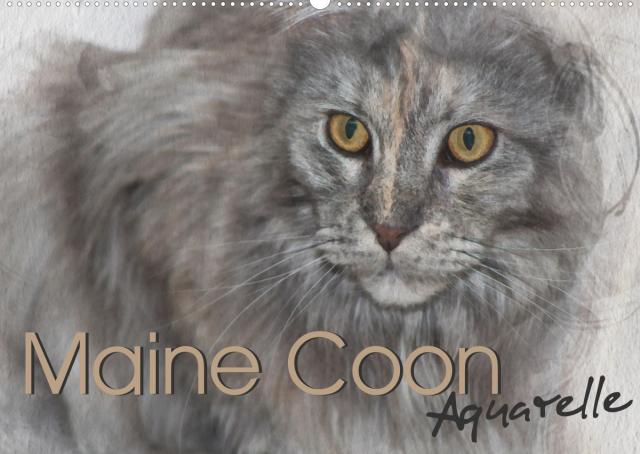 Maine Coon Aquarelle (Wandkalender 2022 DIN A2 quer)