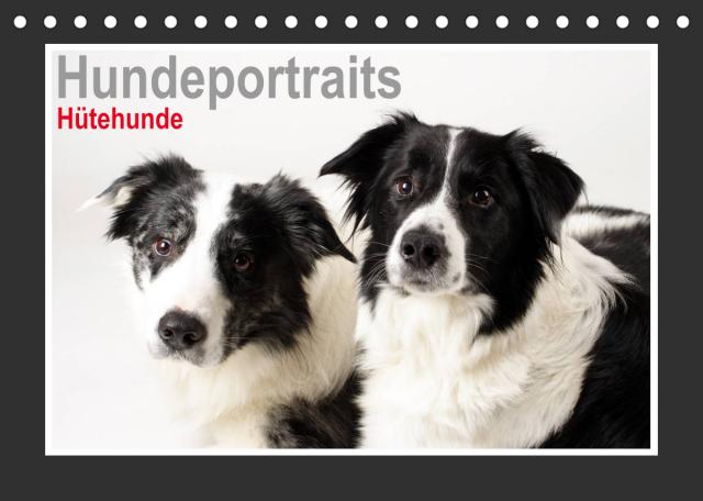 Hundeportraits - Hütehunde (Tischkalender 2023 DIN A5 quer)