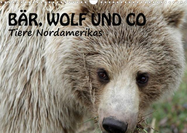 Bär, Wolf und Co - Tiere Nordamerikas (Wandkalender 2023 DIN A3 quer)
