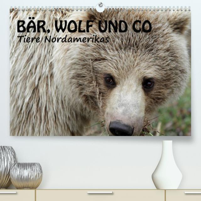 Bär, Wolf und Co - Tiere Nordamerikas (Premium, hochwertiger DIN A2 Wandkalender 2023, Kunstdruck in Hochglanz)