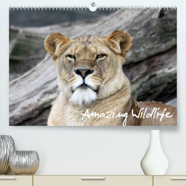Amazing Wildlife (Premium, hochwertiger DIN A2 Wandkalender 2023, Kunstdruck in Hochglanz)