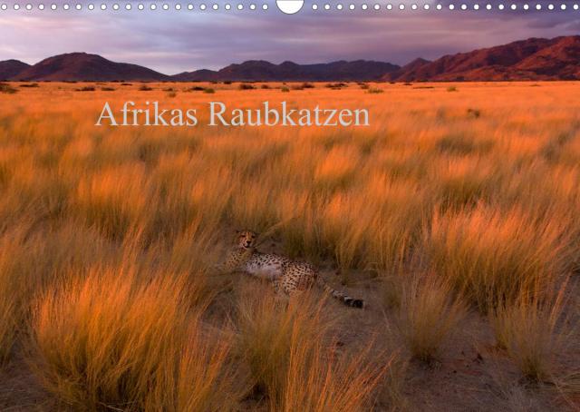 Afrikas Raubkatzen (Wandkalender 2023 DIN A3 quer)