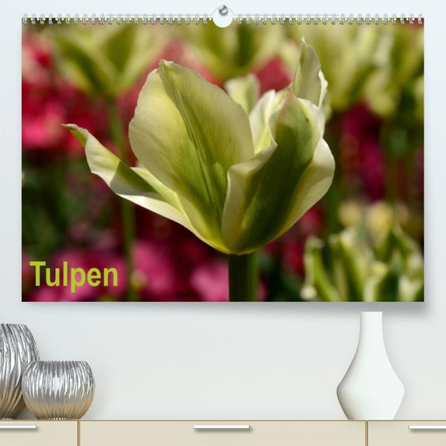 Tulpen (Premium, hochwertiger DIN A2 Wandkalender 2023, Kunstdruck in Hochglanz)