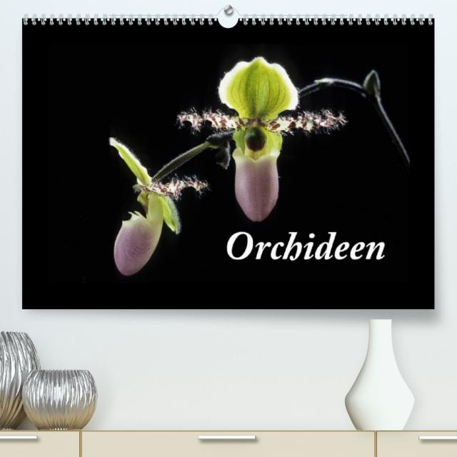 Orchideen 2023 (Premium, hochwertiger DIN A2 Wandkalender 2023, Kunstdruck in Hochglanz)