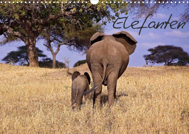 Elefanten (Wandkalender 2023 DIN A3 quer)