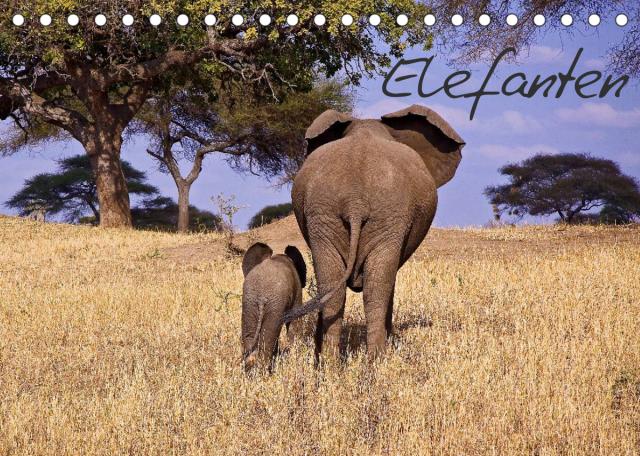 Elefanten (Tischkalender 2023 DIN A5 quer)