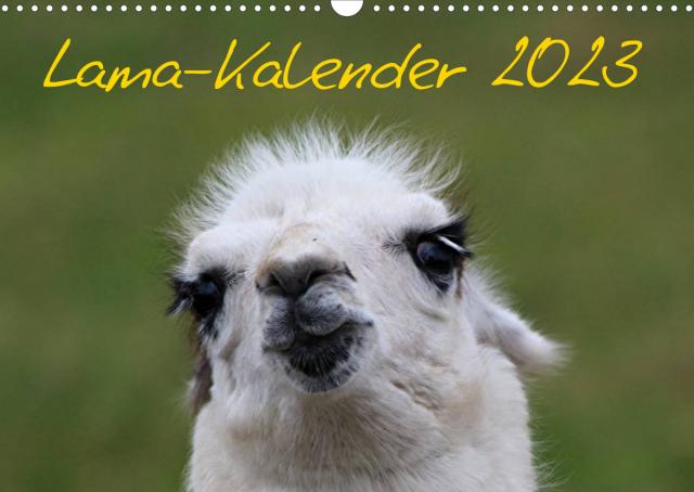 Lama-Kalender 2023 (Wandkalender 2023 DIN A3 quer)