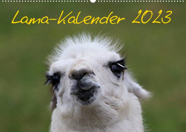 Lama-Kalender 2023 (Wandkalender 2023 DIN A2 quer)