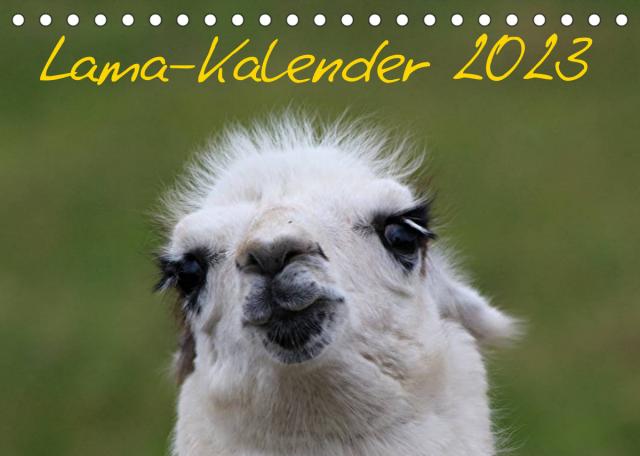 Lama-Kalender 2023 (Tischkalender 2023 DIN A5 quer)