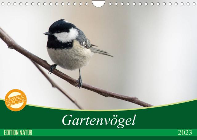 Gartenvögel (Wandkalender 2023 DIN A4 quer)