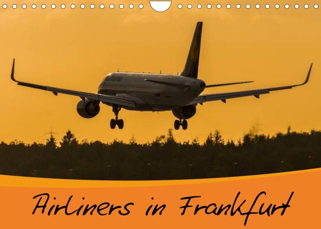 Airliners in Frankfurt (Wandkalender 2023 DIN A4 quer)