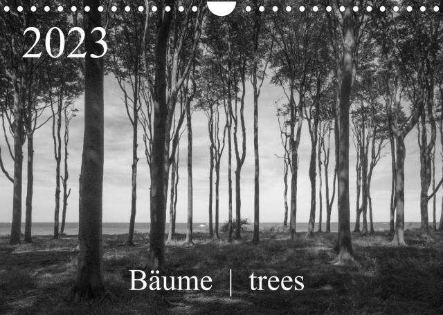 Bäume trees 2023 (Wandkalender 2023 DIN A4 quer)