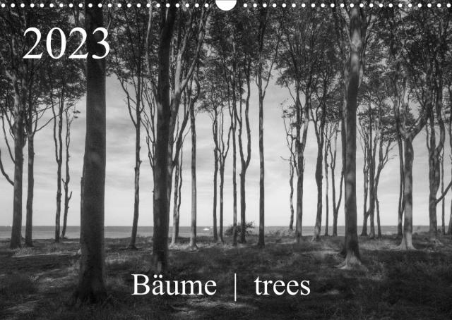 Bäume trees 2023 (Wandkalender 2023 DIN A3 quer)