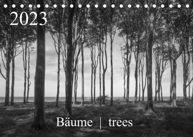 Bäume trees 2023 (Tischkalender 2023 DIN A5 quer)