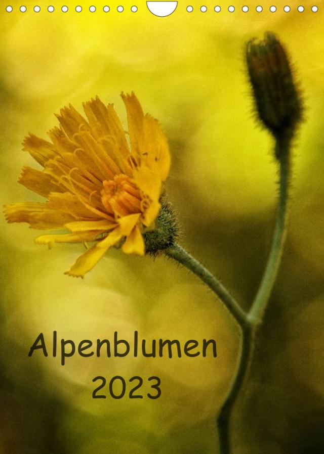 Alpenblumen 2023 (Wandkalender 2023 DIN A4 hoch)