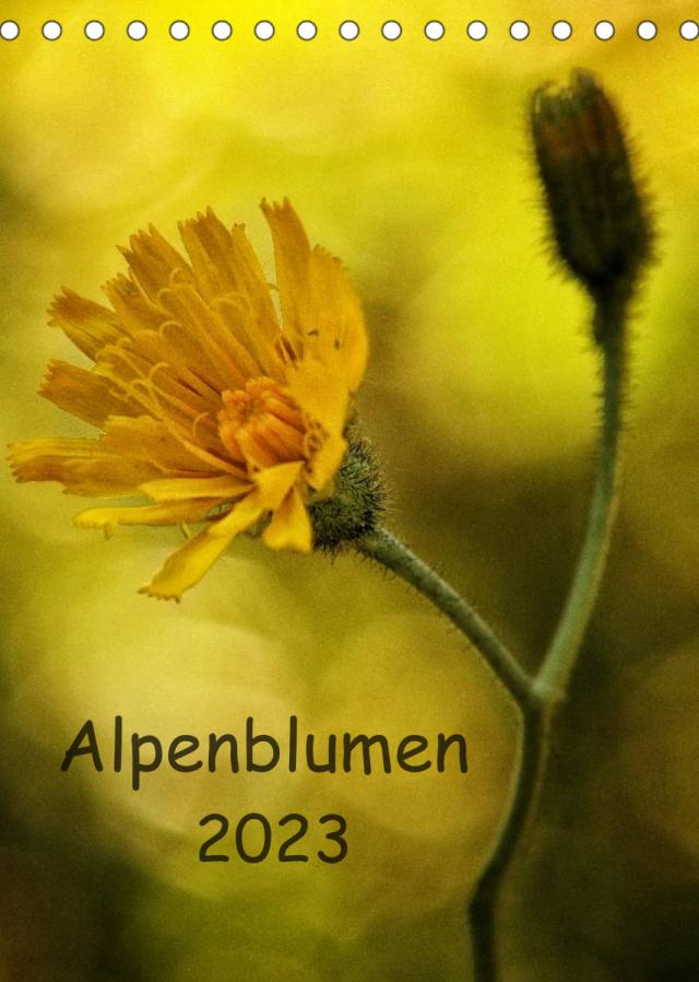 Alpenblumen 2023 (Tischkalender 2023 DIN A5 hoch)