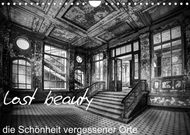 lost beauty (Wandkalender 2023 DIN A4 quer)