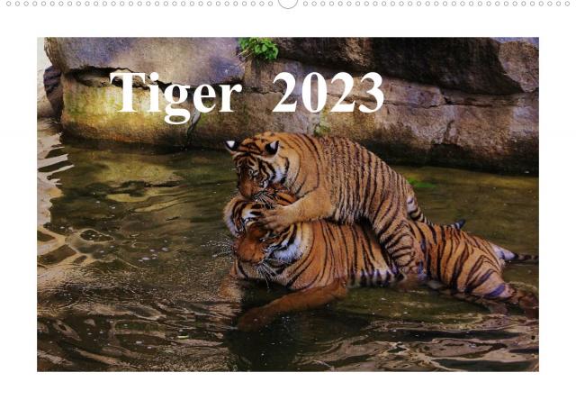 Tiger 2023 (Wandkalender 2023 DIN A2 quer)