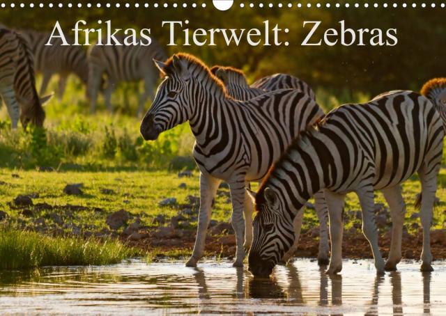 Afrikas Tierwelt: Zebras (Wandkalender 2023 DIN A3 quer)