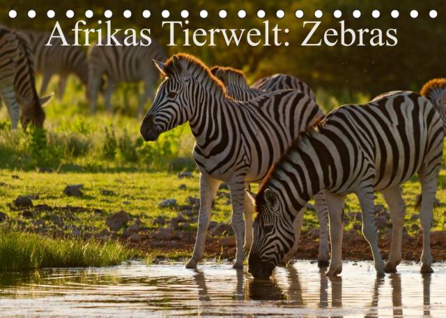 Afrikas Tierwelt: Zebras (Tischkalender 2023 DIN A5 quer)