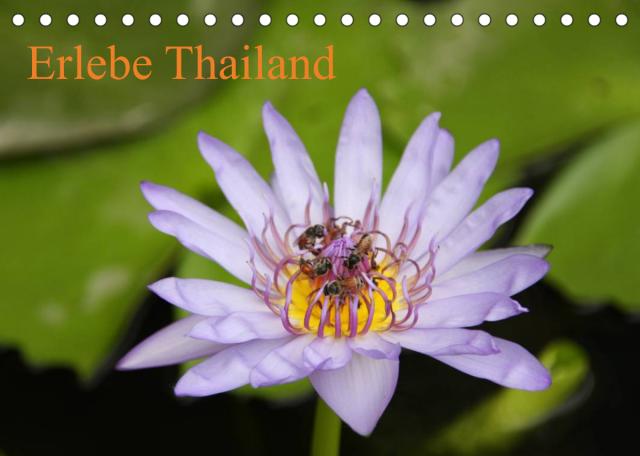 Erlebe Thailand (Tischkalender 2023 DIN A5 quer)