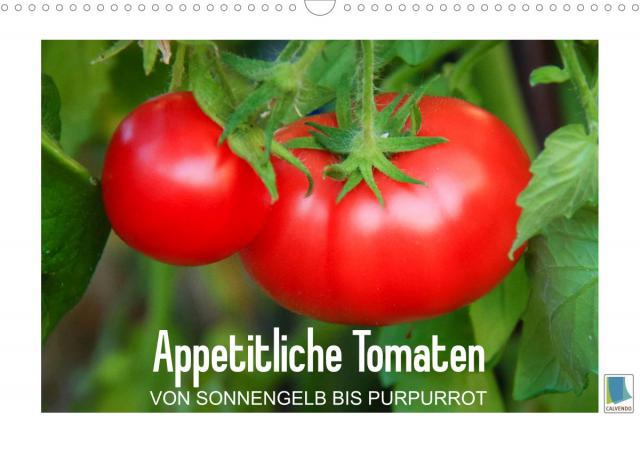 Appetitliche Tomaten – von sonnengelb bis purpurrot (Wandkalender 2023 DIN A3 quer)
