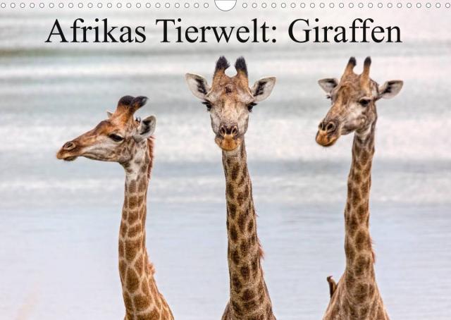 Afrikas Tierwelt: Giraffen (Wandkalender 2023 DIN A3 quer)