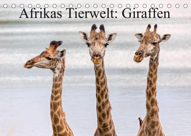 Afrikas Tierwelt: Giraffen (Tischkalender 2023 DIN A5 quer)