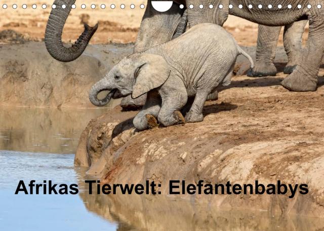 Afrikas Tierwelt: Elefantenbabys (Wandkalender 2023 DIN A4 quer)