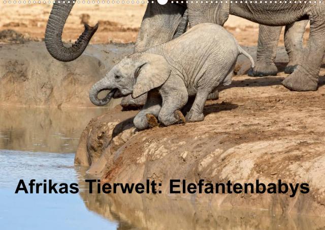 Afrikas Tierwelt: Elefantenbabys (Wandkalender 2023 DIN A2 quer)
