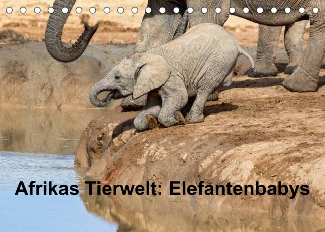 Afrikas Tierwelt: Elefantenbabys (Tischkalender 2023 DIN A5 quer)