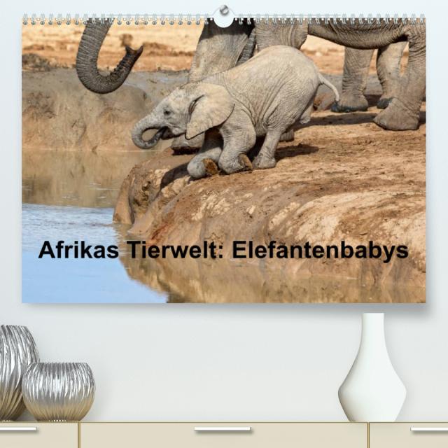Afrikas Tierwelt: Elefantenbabys (Premium, hochwertiger DIN A2 Wandkalender 2023, Kunstdruck in Hochglanz)