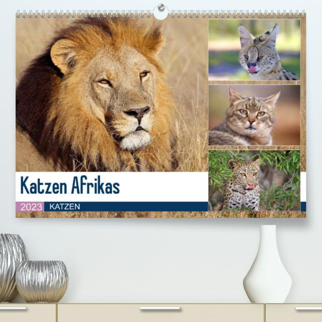 Katzen Afrikas (Premium, hochwertiger DIN A2 Wandkalender 2023, Kunstdruck in Hochglanz)
