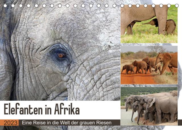 Elefanten in Afrika (Tischkalender 2023 DIN A5 quer)