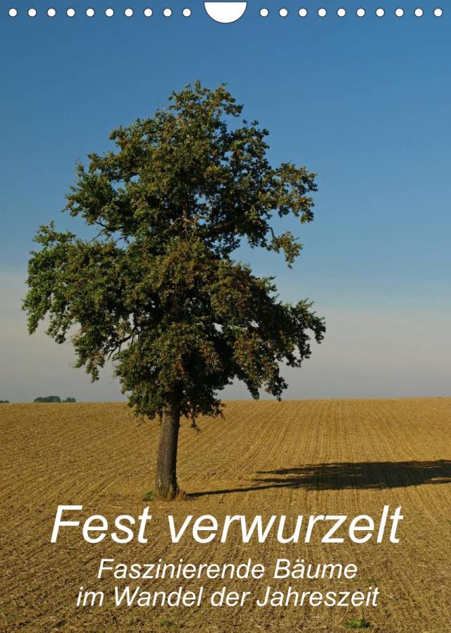 Fest verwurzelt - Faszinierende Bäume im Wandel der Jahreszeit (Wandkalender 2023 DIN A4 hoch)