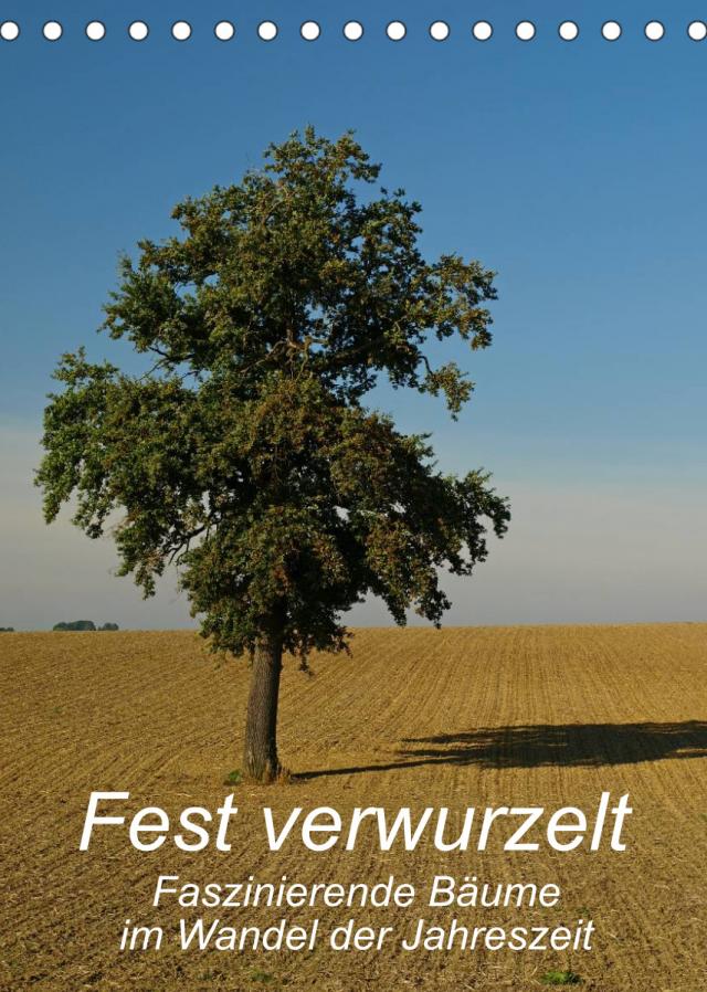Fest verwurzelt - Faszinierende Bäume im Wandel der Jahreszeit (Tischkalender 2023 DIN A5 hoch)