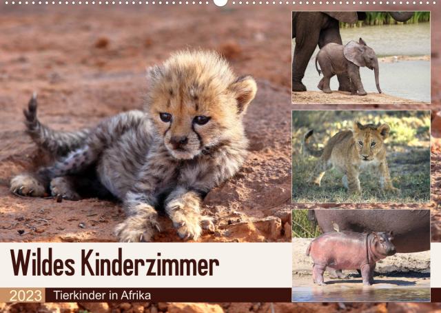 Wildes Kinderzimmer - Tierkinder in Afrika (Wandkalender 2023 DIN A2 quer)