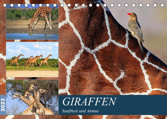Giraffen - Sanftheit und Anmut (Tischkalender 2023 DIN A5 quer)