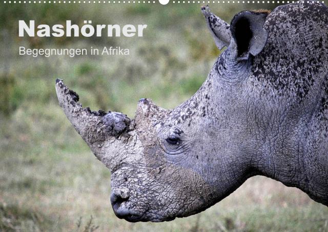 Nashörner - Begegnungen in Afrika (Wandkalender 2023 DIN A2 quer)