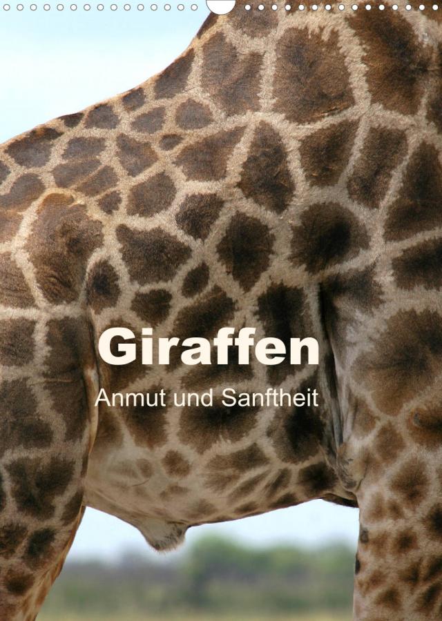 Giraffen - Anmut und Sanftheit (Wandkalender 2023 DIN A3 hoch)