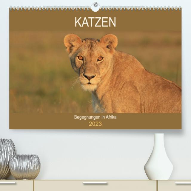Katzen - Begegnungen in Afrika (Premium, hochwertiger DIN A2 Wandkalender 2023, Kunstdruck in Hochglanz)