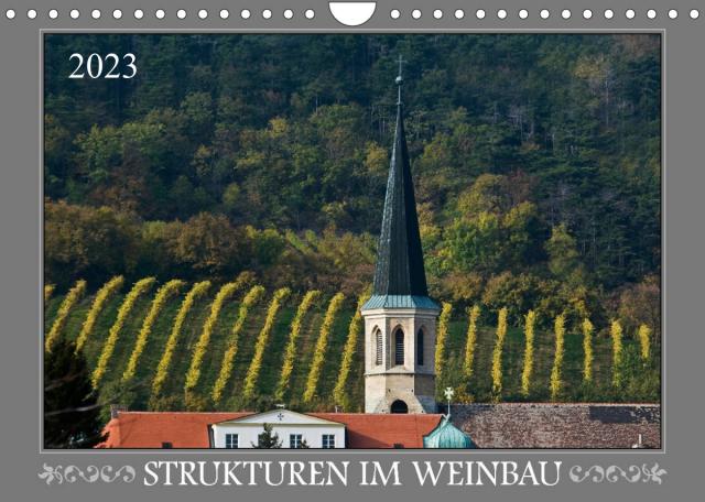 Strukturen im Weinbau (Wandkalender 2023 DIN A4 quer)